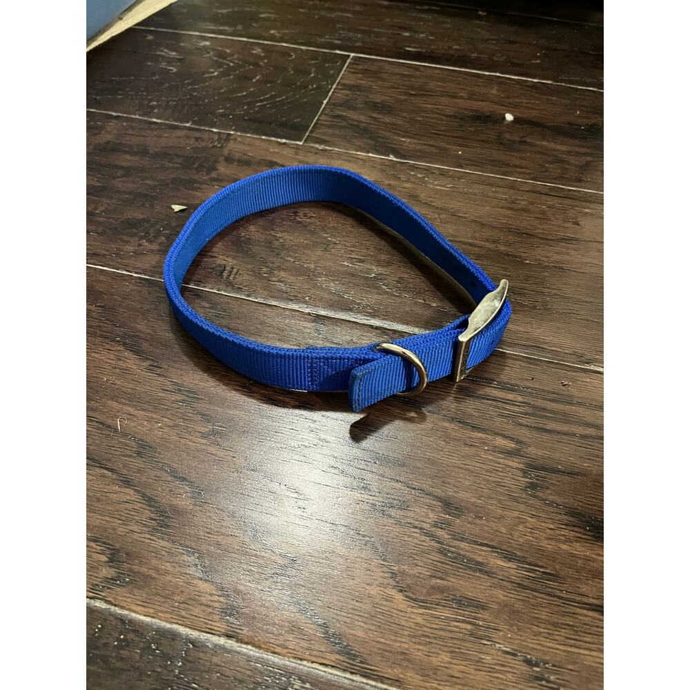 Blue Collar Large Dog